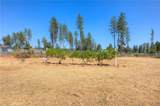 6478 Lone Cedar Lane - Photo 57