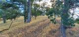 6915 Remunda Road - Photo 2