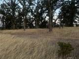 6915 Remunda Road - Photo 8