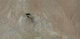 0 Bucknell Road - Photo 11