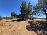 37065 Bonita Vista Road - Photo 61