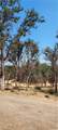 16034 13th Avenue - Photo 4
