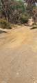 16034 13th Avenue - Photo 5