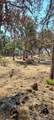 16034 13th Avenue - Photo 7