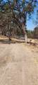 16034 13th Avenue - Photo 8