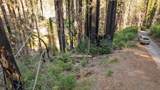  Boulder Brook Drive - Photo 3