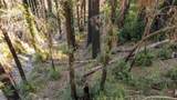  Boulder Brook Drive - Photo 5