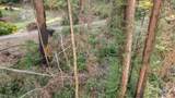  Boulder Brook Drive - Photo 7