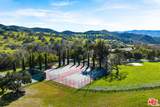 7351 Happy Canyon Road - Photo 16