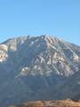 13388 Fremontia - Photo 4