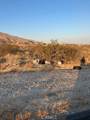 13356 Fremontia Road - Photo 4