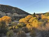 42930 Lake Hughes Road - Photo 44