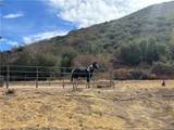 42930 Lake Hughes Road - Photo 47