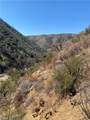 42930 Lake Hughes Road - Photo 48
