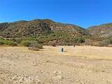 42930 Lake Hughes Road - Photo 53