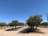 10080 Santa Fe Fire Road - Photo 13