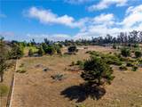 1255 Viva Way - Photo 18