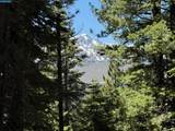 1578 Skyline Drive - Photo 9