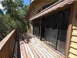 33007 Spruce Drive - Photo 39
