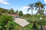 2651 Palomino Drive - Photo 36