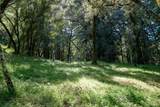 35000 Robinson Canyon Road - Photo 10