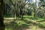 35000 Robinson Canyon Road - Photo 11