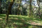 35000 Robinson Canyon Road - Photo 12
