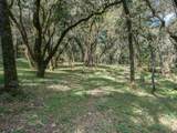 35000 Robinson Canyon Road - Photo 2