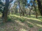 35000 Robinson Canyon Road - Photo 4