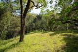 35000 Robinson Canyon Road - Photo 5