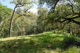 35000 Robinson Canyon Road - Photo 6
