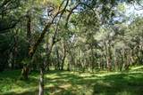 35000 Robinson Canyon Road - Photo 8