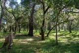 35000 Robinson Canyon Road - Photo 9