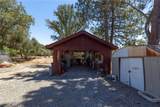 45544 Pine River Road - Photo 50