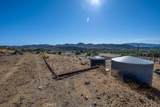9555 1/2 Hierba Road - Photo 21