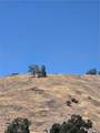 87577 Oak Street - Photo 15