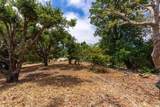 388 Aptos Ridge Circle - Photo 56