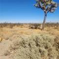 11 Palmdale Road - Photo 4