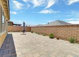 43885 Arancia Way - Photo 13