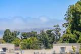 1433 Floribunda Avenue - Photo 37