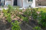 533 Hawthorne Street - Photo 46
