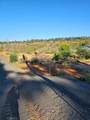6731 Magalia Cemetery Road - Photo 1