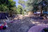3953 Santa Carlotta - Photo 20