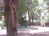 7979 Buckingham Court - Photo 2