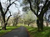 3698 Guadalupe Fire Road - Photo 71
