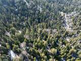 29629 Little Bear Creek Road - Photo 4