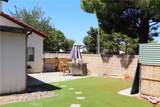 43964 Fallon Drive - Photo 18
