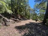 0 Deer Creek (Lot 21) - Photo 24