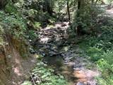 0 Deer Creek (Lot 21) - Photo 46