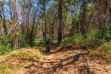 181 Price Creek Rd - Photo 37